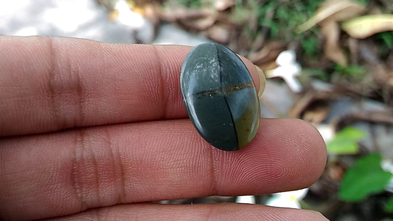 Batu Tapak Jalak Hitam Coklat asli (Kode:518) - Wahyu Mulia