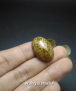 batu sarang semut asli