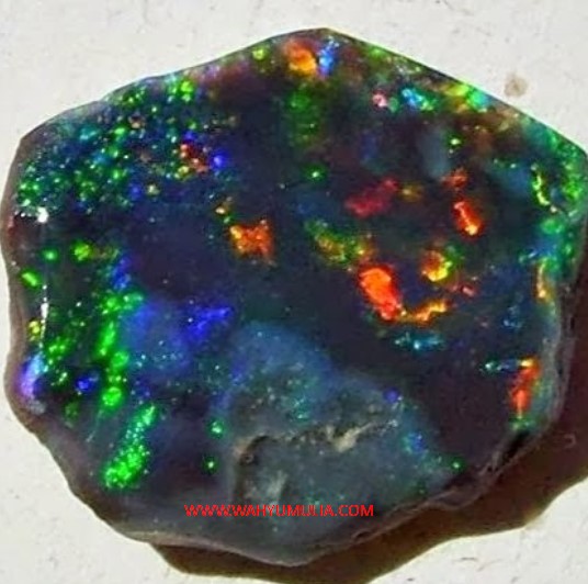 harga batu black opal kalimaya banten termahal