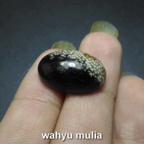  Batu  Fosil Kayu Liwung aren hitam  Asli kode 675 Wahyu 