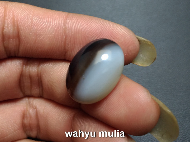 Batu Akik Warna Hitam Putih Asli (kode:724) - Wahyu Mulia