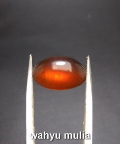 batu cincin katilayu asli natural khasiat mancing ikan