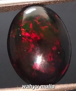 jual batu black opal banten jarong merah asli harga murah