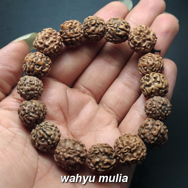 Gelang Biji Jenitri / Rudraksha (kode 872) - Wahyu Mulia