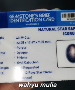 memo sertifikat batu safir sapphire star 12 rays langka termahal