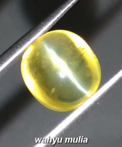 Batu Mata Kucing Kuning madu Asli Opal rasa Chryssoberyl_1