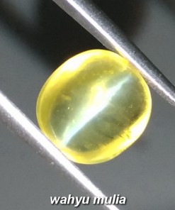 Batu Mata Kucing Kuning madu Asli Opal rasa Chryssoberyl_3