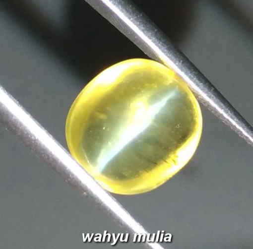 Batu Mata Kucing Kuning madu Asli Opal rasa Chryssoberyl_3