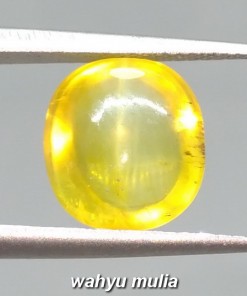 Batu Mata Kucing Kuning madu Asli Opal rasa Chryssoberyl_4