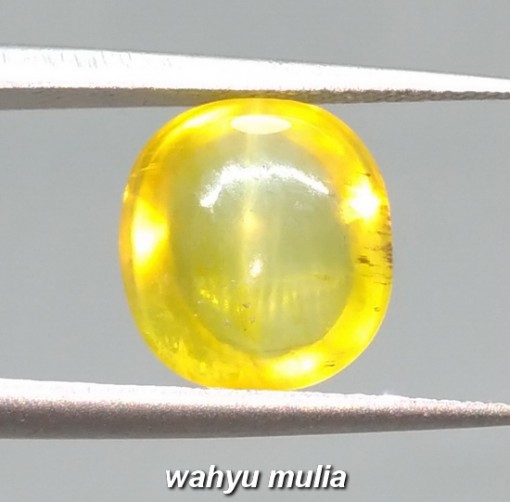 Batu Mata Kucing Kuning madu Asli Opal rasa Chryssoberyl_4