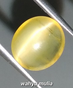 batu permata natural yellow opal cat's eye dikenal dengan batu mata kucing warna kuning bagus_1