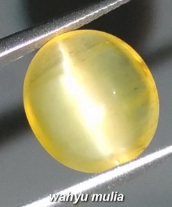batu permata natural yellow opal cat's eye dikenal dengan batu mata kucing warna kuning bagus_2