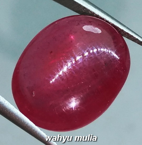 Batu Permata Ruby Merah Delima Asli (Kode 966) - Wahyu Mulia