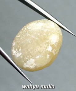 Batu Akik Fosil Mani gajah Putih susu kristal asli ber khasiat mustika_1