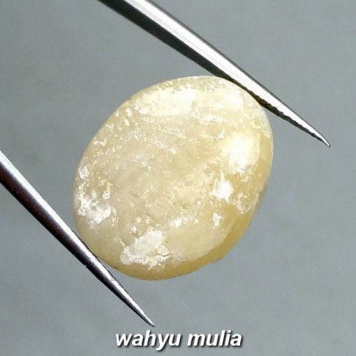 Batu Akik Fosil Mani gajah Putih susu kristal asli ber khasiat mustika_1