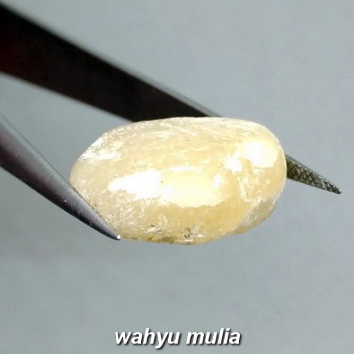 Batu Akik Fosil Mani gajah Putih susu kristal asli ber khasiat mustika_3
