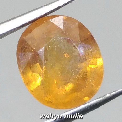 Batu Permata Natural Orangy Yellow Sapphire asli_2