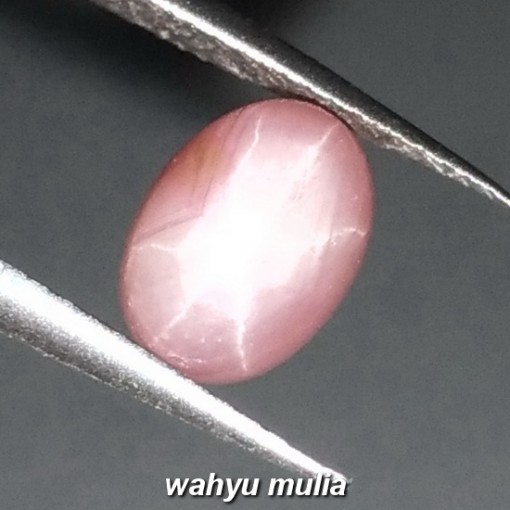 Batu Permata Pink Star Safir corundum Asli_1
