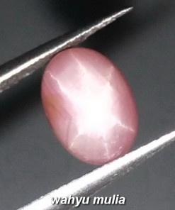 Batu Permata Pink Star Safir corundum Asli_2
