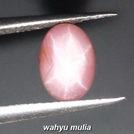 Batu Permata Pink Star Safir corundum Asli_4