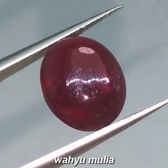 Batu Akik merah delima ruby Asli (Kode 1147) - Wahyu Mulia