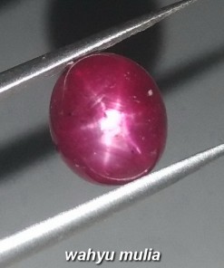 Batu Permata Ruby Star Merah Delima asli natural harga khasiat gambar_2