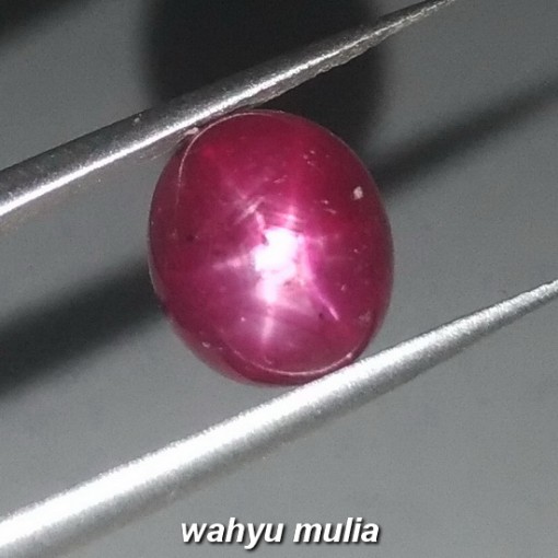 Batu Permata Ruby Star Merah Delima asli natural harga khasiat gambar_2