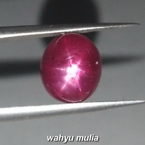 Batu Permata Ruby Star Merah Delima asli natural harga khasiat gambar_3