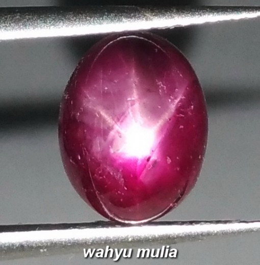 gambar Batu Natural Star Ruby Corundum merah putih Asli birma myanmar afrika harga khasiat ciri _1