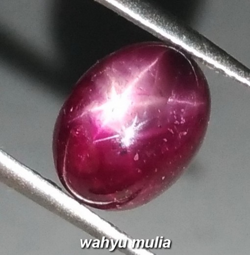 gambar Batu Natural Star Ruby Corundum merah putih Asli birma myanmar afrika harga khasiat ciri _4