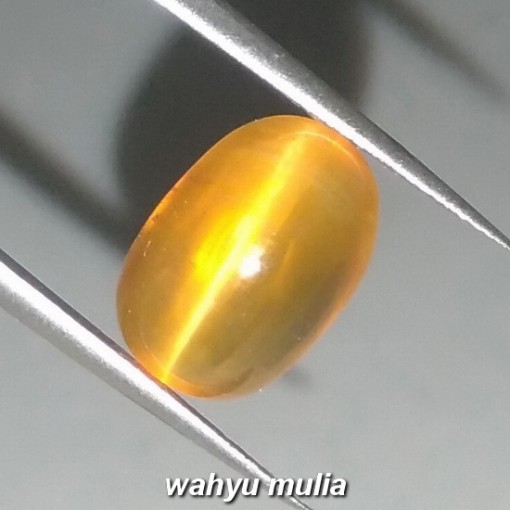gambar Batu Permata opal Cat Eye honey Madu asli natural harga khasiat_1