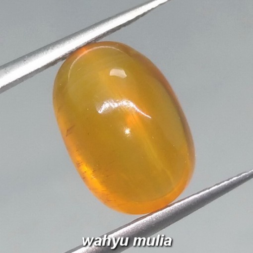 gambar Batu Permata opal Cat Eye honey Madu asli natural harga khasiat_4