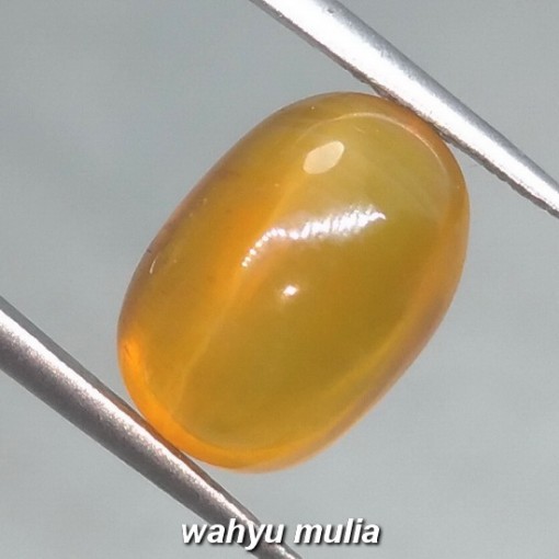 gambar Batu Permata opal Cat Eye honey Madu asli natural harga khasiat_5