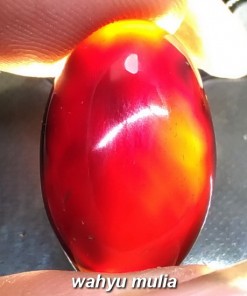 gambar Batu Akik Yahman Wulung hitam Tembus Merah Asli khasiat harga ciri natural cincin yaman kecubung api_3