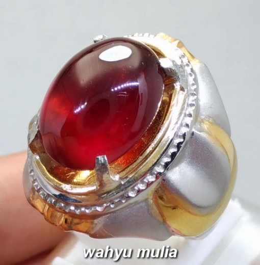 foto jual Cincin Batu Garnet Ceylon Merah Jumbo Asli harga murah termahal bagus bersertifikat kegunaan ciri_1