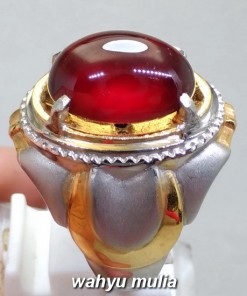 foto jual Cincin Batu Garnet Ceylon Merah Jumbo Asli harga murah termahal bagus bersertifikat kegunaan ciri_4