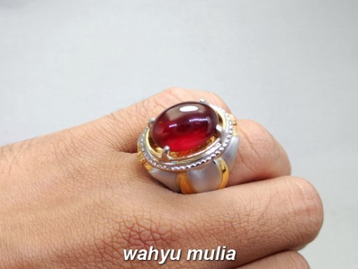 foto jual Cincin Batu Garnet Ceylon Merah Jumbo Asli harga murah termahal bagus bersertifikat kegunaan ciri_5