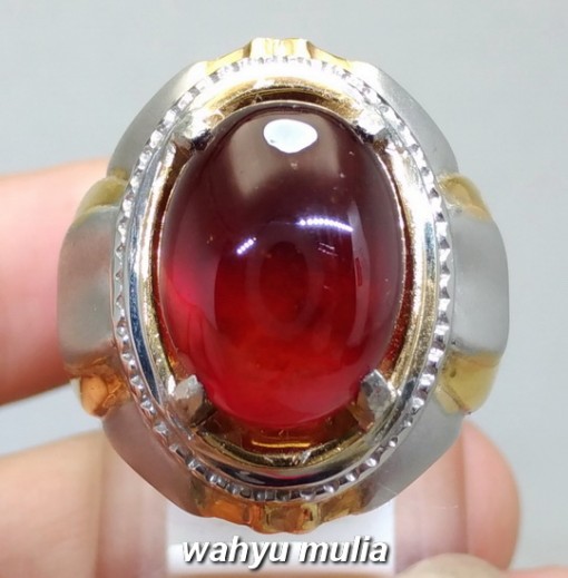 foto jual Cincin Batu Garnet Ceylon Merah Jumbo Asli harga murah termahal bagus bersertifikat kegunaan ciri_6
