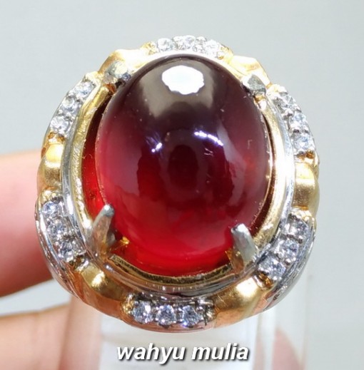 gambar Batu Cincin Natural Merah Garnet Ceylon Big size Asli bersertifikat memo manfaat ciri jenis star ungu harga murah termahal_3
