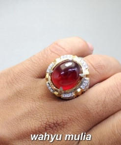 gambar Batu Cincin Natural Merah Garnet Ceylon Big size Asli bersertifikat memo manfaat ciri jenis star ungu harga murah termahal_7