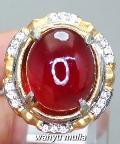 gambar Batu Cincin Natural Merah Garnet Ceylon Big size Asli bersertifikat memo manfaat ciri jenis star ungu harga murah termahal_8