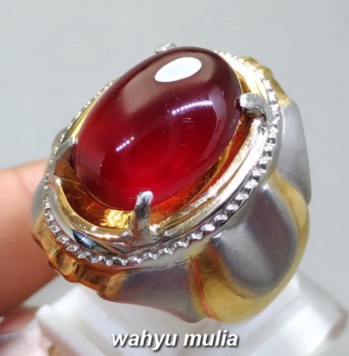 gambar jual Batu Cincin Merah Garnet Srilangka Besar Asli natural bersertifikat ciri harga khasiat ungu ceylon afrika star 4_1