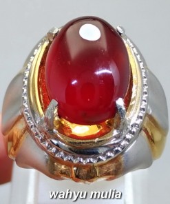 gambar jual Batu Cincin Merah Garnet Srilangka Besar Asli natural bersertifikat ciri harga khasiat ungu ceylon afrika star 4_3