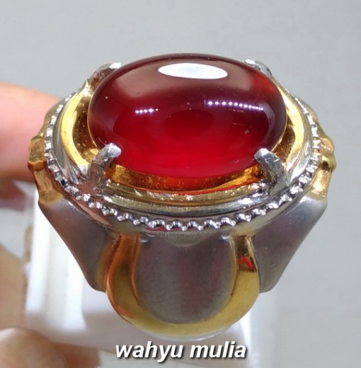 gambar jual Batu Cincin Merah Garnet Srilangka Besar Asli natural bersertifikat ciri harga khasiat ungu ceylon afrika star 4_4