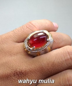 gambar jual Batu Cincin Merah Garnet Srilangka Besar Asli natural bersertifikat ciri harga khasiat ungu ceylon afrika star 4_5