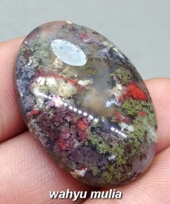 foto Batu Akik Lumut Trenggalek Pancawarna Asli bertuah mustika kegunaan jenis asal ber memo_2