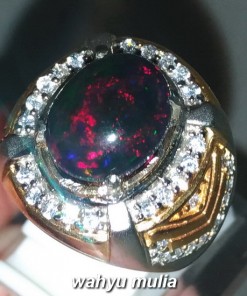 foto Batu Cincin Black Opal Kembang Jarong kalimaja Asli banten bersertifikat sodong maja harga sinar merah hijau ciri asal khasiat sempur hitam_1