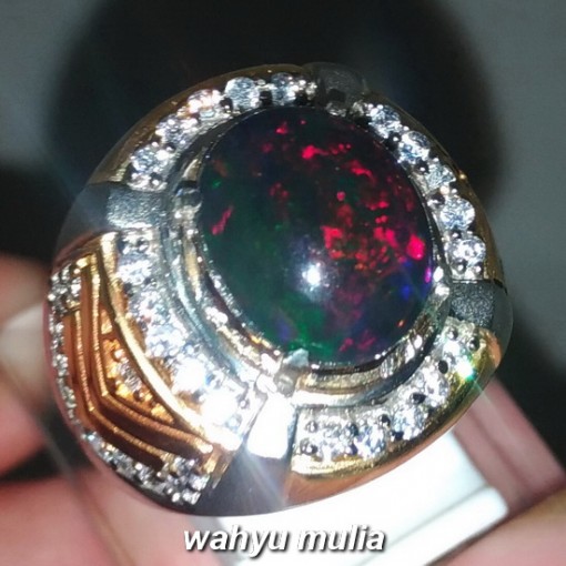 foto Batu Cincin Black Opal Kembang Jarong kalimaja Asli banten bersertifikat sodong maja harga sinar merah hijau ciri asal khasiat sempur hitam_2