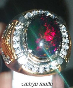 foto Batu Cincin Black Opal Kembang Jarong kalimaja Asli banten bersertifikat sodong maja harga sinar merah hijau ciri asal khasiat sempur hitam_3
