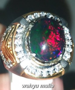 foto Batu Cincin Black Opal Kembang Jarong kalimaja Asli banten bersertifikat sodong maja harga sinar merah hijau ciri asal khasiat sempur hitam_4